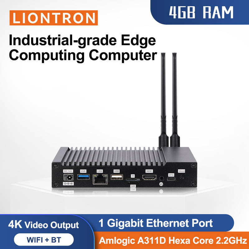 Liontron Amlogic A311D Hexa Core NPU 5Tops Computing Power Support PCIE 4G RS232 Serial Ports WiFI BT Industrial Mini PC