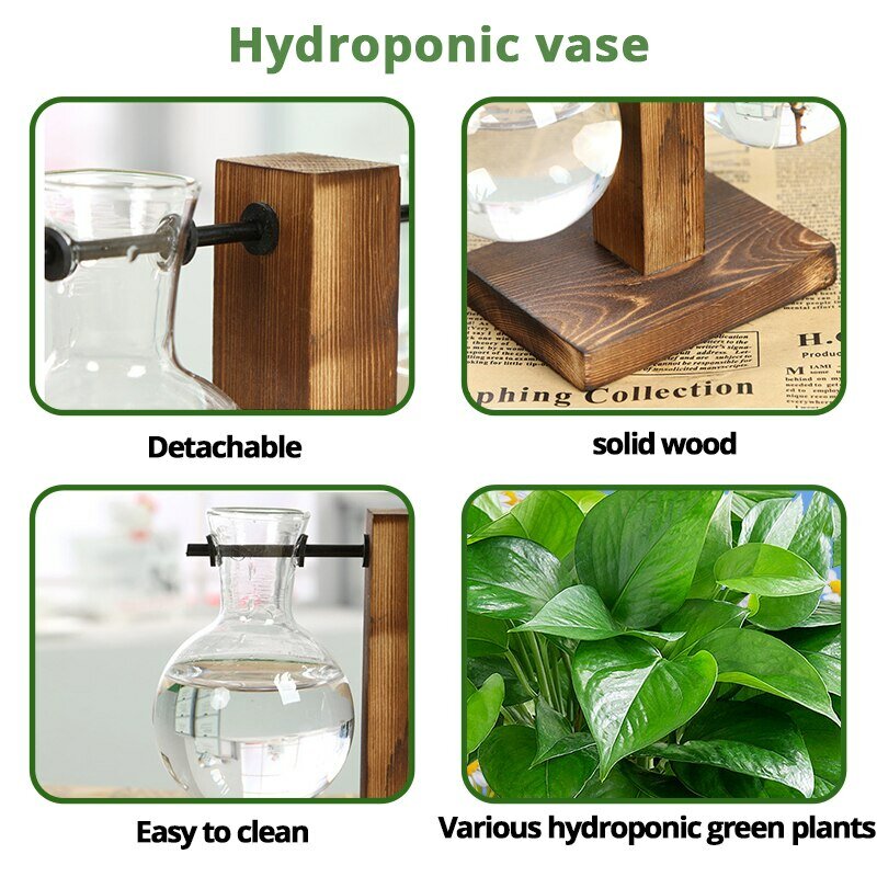 Transparent Bulb Vase with Wooden Stand Desktop Glass Planter for Hydroponics Plants Coffee Shop Room Decor