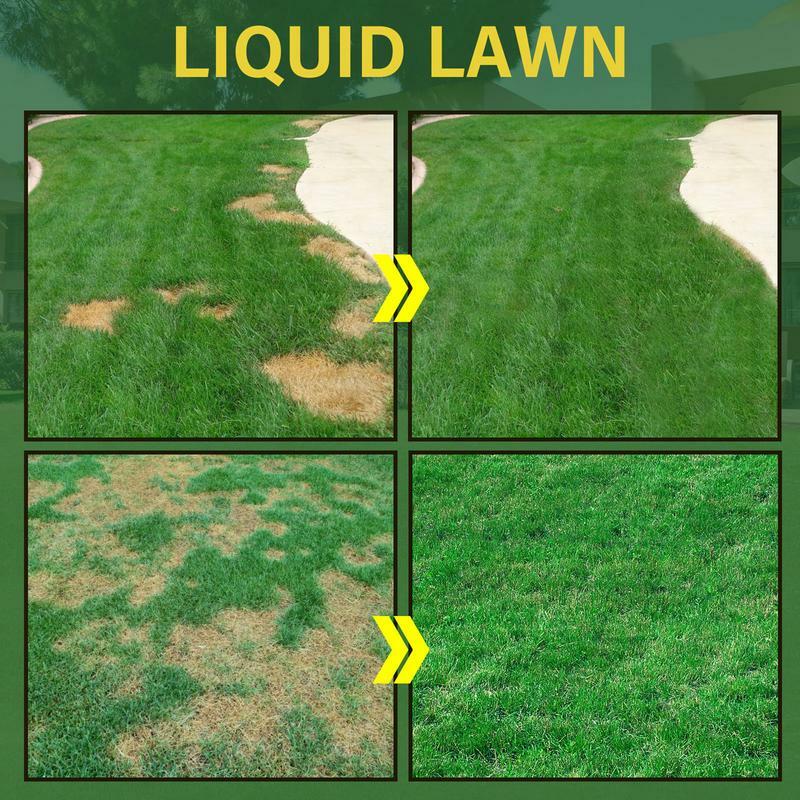 59ml Instant Green Grass Spray Lawn Spray Home Seeding Liquid Spray Eco-Friendly Lawn Spray Green Lawn Dye Repair Grass Paint