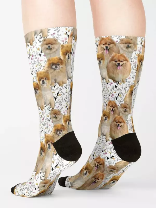 Носки с изображением померанского шпица, роскошные женские носки счастливого человека