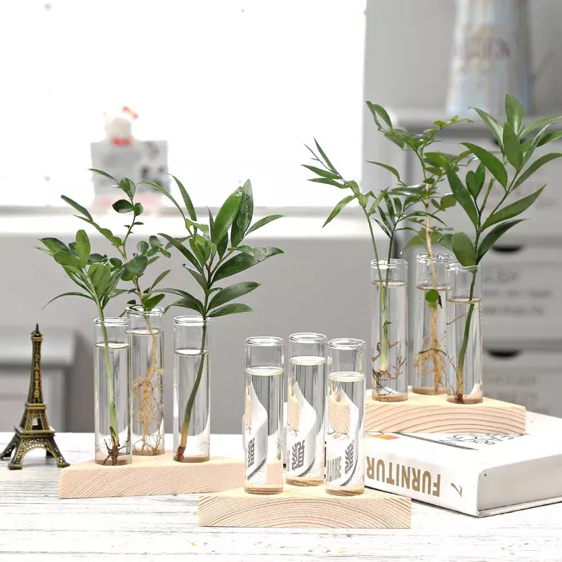 Vases hydroponiques en bois pour plantes, vase à fleurs vintage, pot transparent, cadre en bois, vase en verre, plantes brittop, décoration d'intérieur