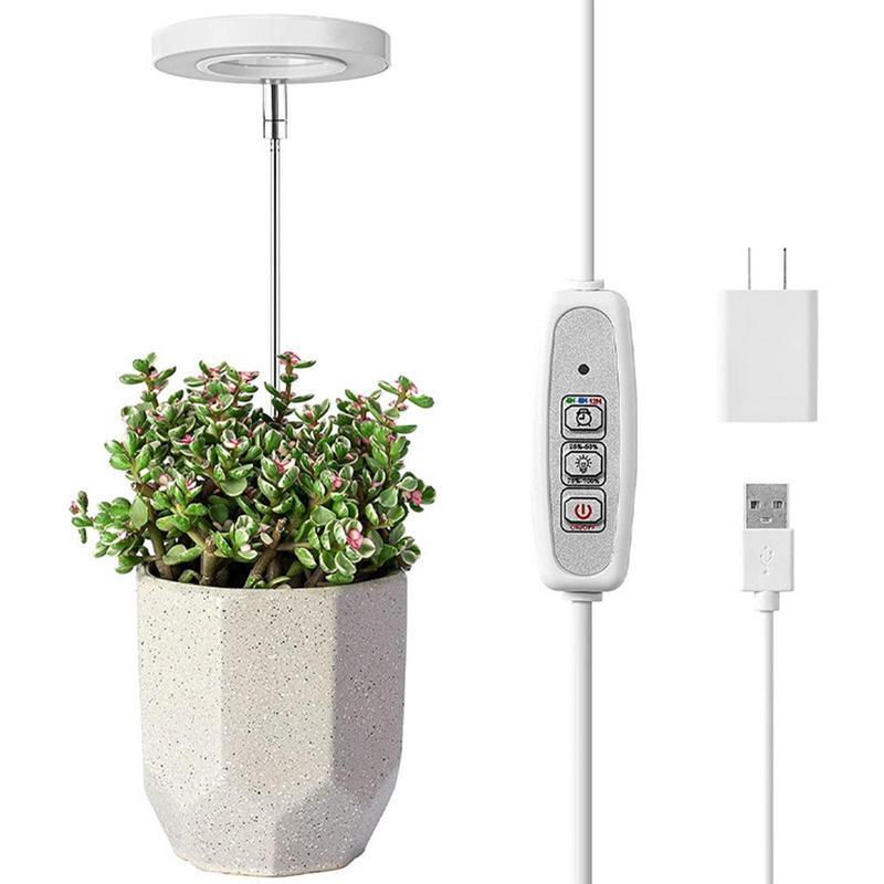 Minuterie LED pour la culture des plantes d'intérieur, lumière de remplissage pour plantes d'intérieur, minuterie marche et arrêt automatiques pour la maison et le bureau