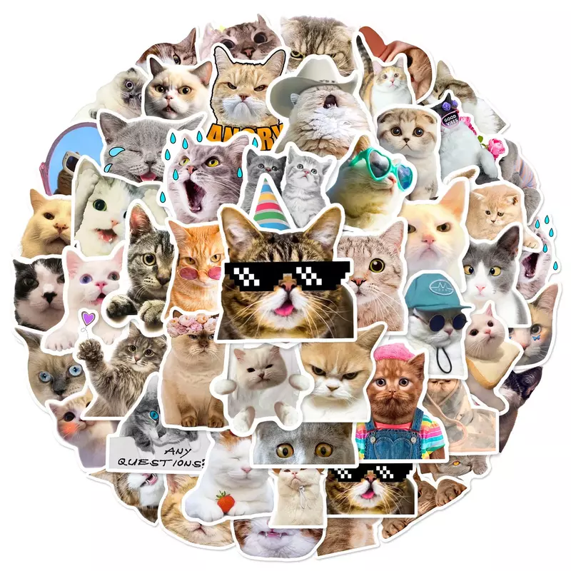 50 buah Kawaii stiker kucing MEME lucu stiker lucu untuk botol air Laptop Skateboard buku tempel bagasi stiker telepon mainan anak