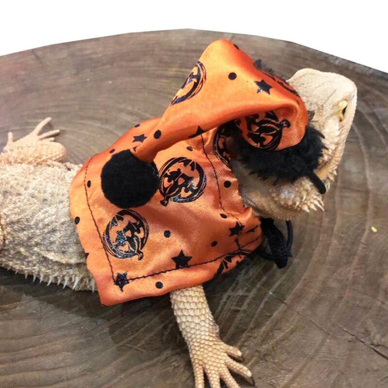 Drago barbuto Costume Halloween Abiti per le vacanze Accessori Cappello regolabile Mantello per rettili per piccoli animali
