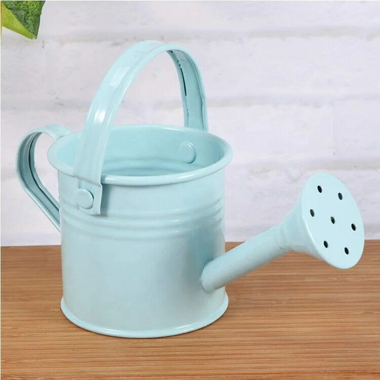 Decorative Watering Bucket Metal Kids Watering Can Small Garden Water Can for Home Garden
