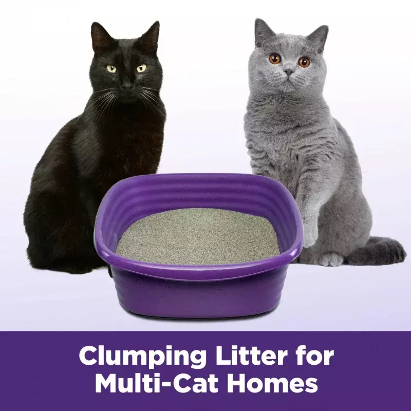 ARM & HAMMER-Clump & Seal SLIDE Cat Litter, fácil limpeza Multi-Cat Clumping Litter, 38 lbs