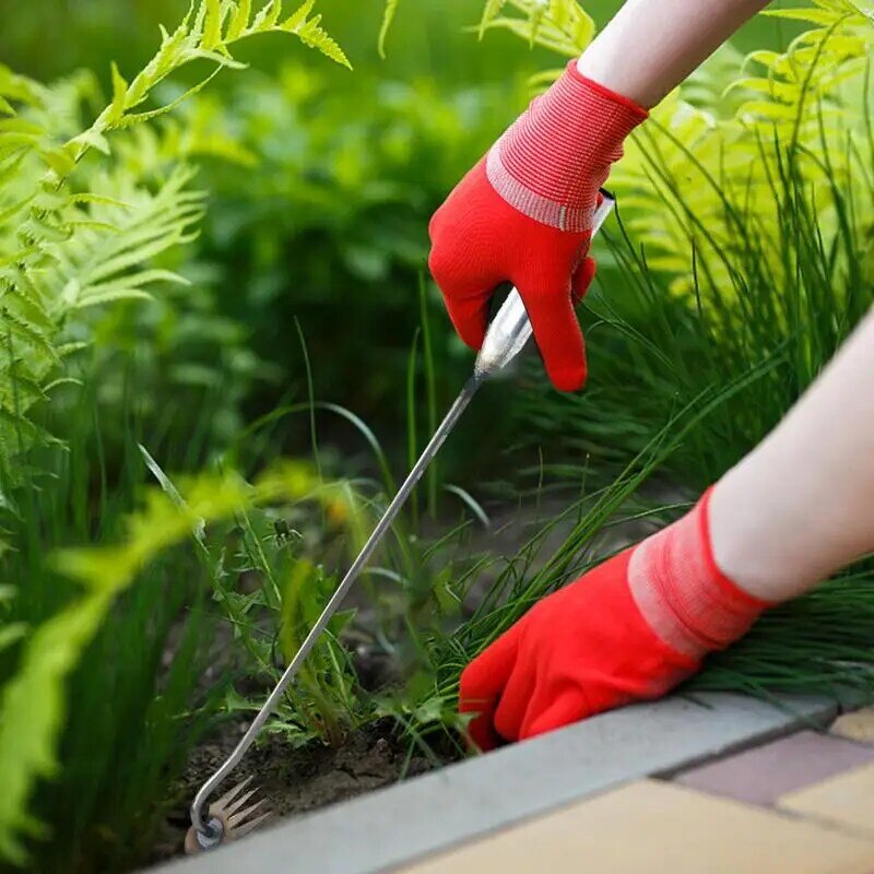 Alat penyiangan rumput taman, 4 gigi tanaman akar rumput rumput tangan alat tarik Uprooting artefak untuk halaman teras