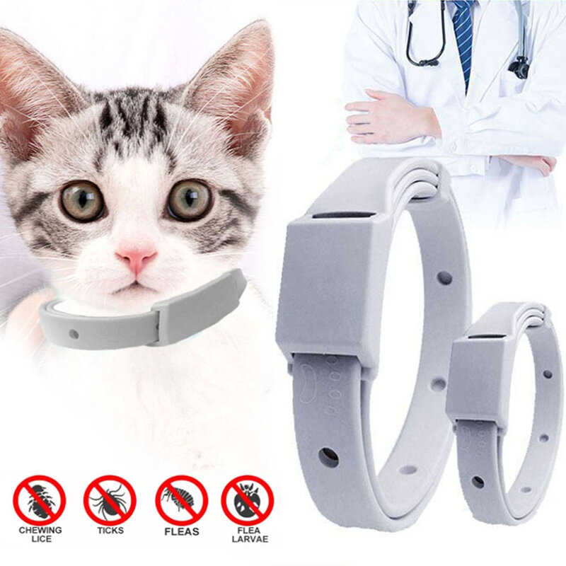 Anti Flea Tick Collar Para Cat Small Dog Antiparasitário 8 Mês Proteção Ajustável Puppy Kitten Collar Breakaway Pet Acessórios