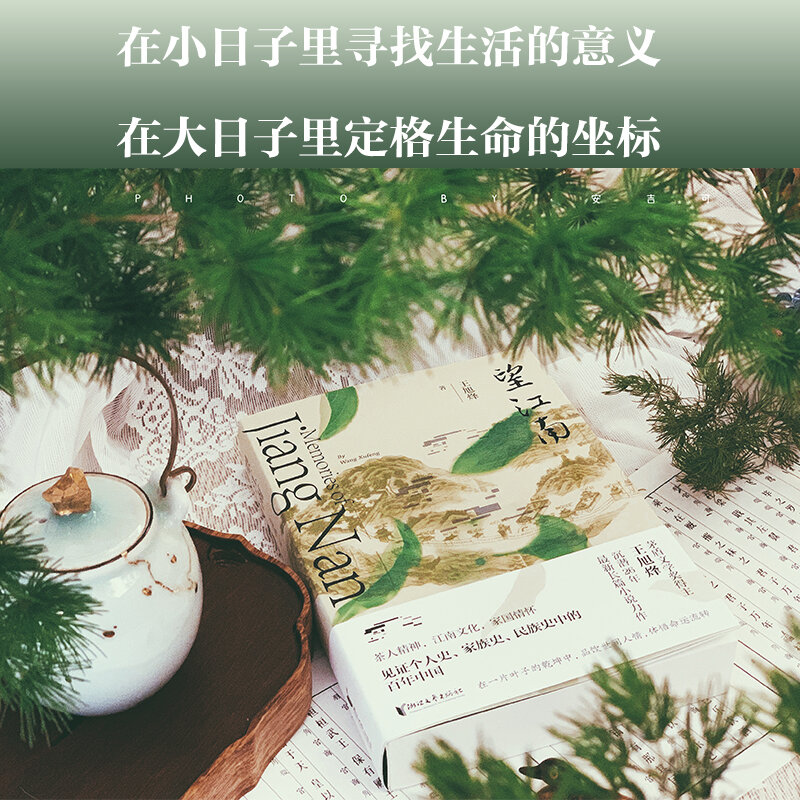 Das Buch von senna occidentalis, wang xufeng, Gewinner des mao dun Literatur preises für neue Bücher