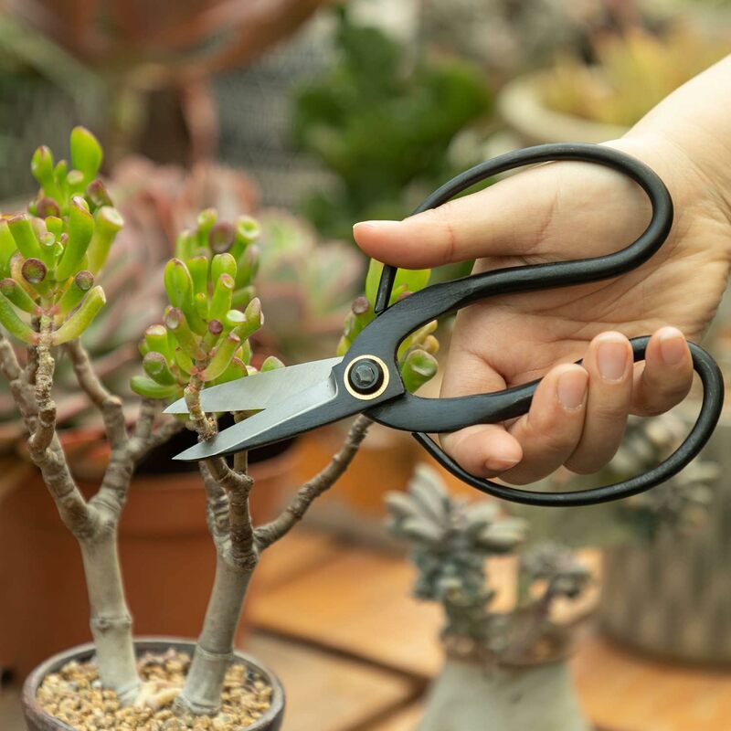 Professional Bonsai Scissors Traditional Butterfly Bonsai Pruner Shear For Precise Trimming Pruning Deadheading of Flowers Plant