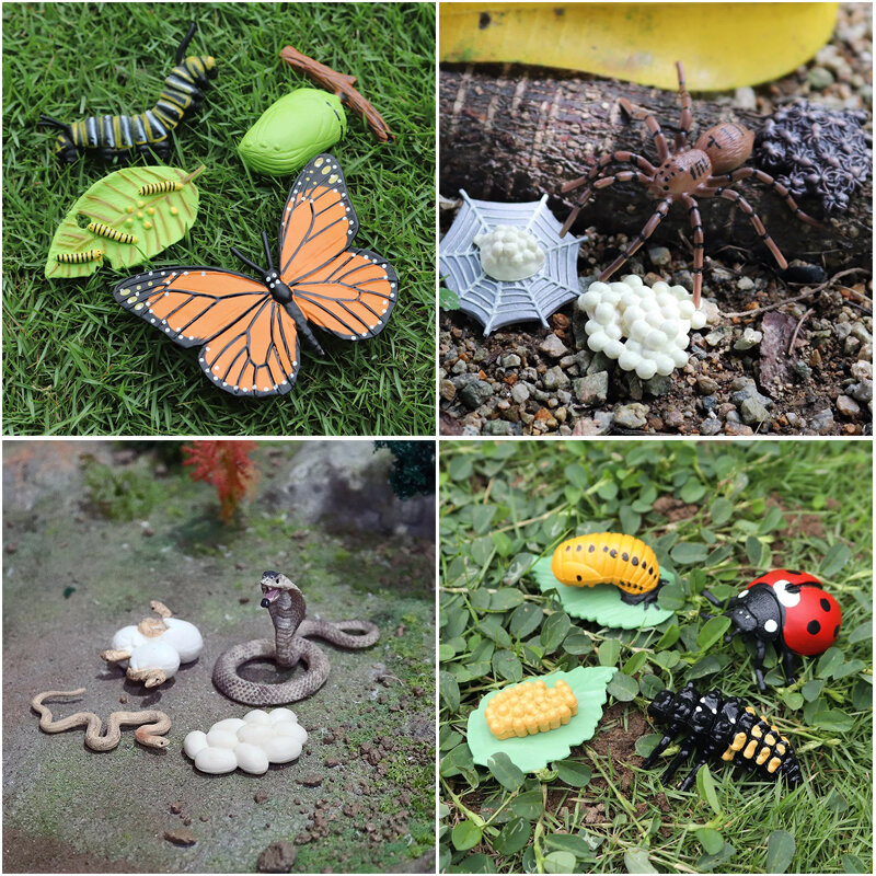 Modelo de simulación de ciclo de vida de insectos de animales, estatuilla de crecimiento de abeja y mariposa, figuras de acción, juguete cognitivo temprano para niños, Colección, nuevo