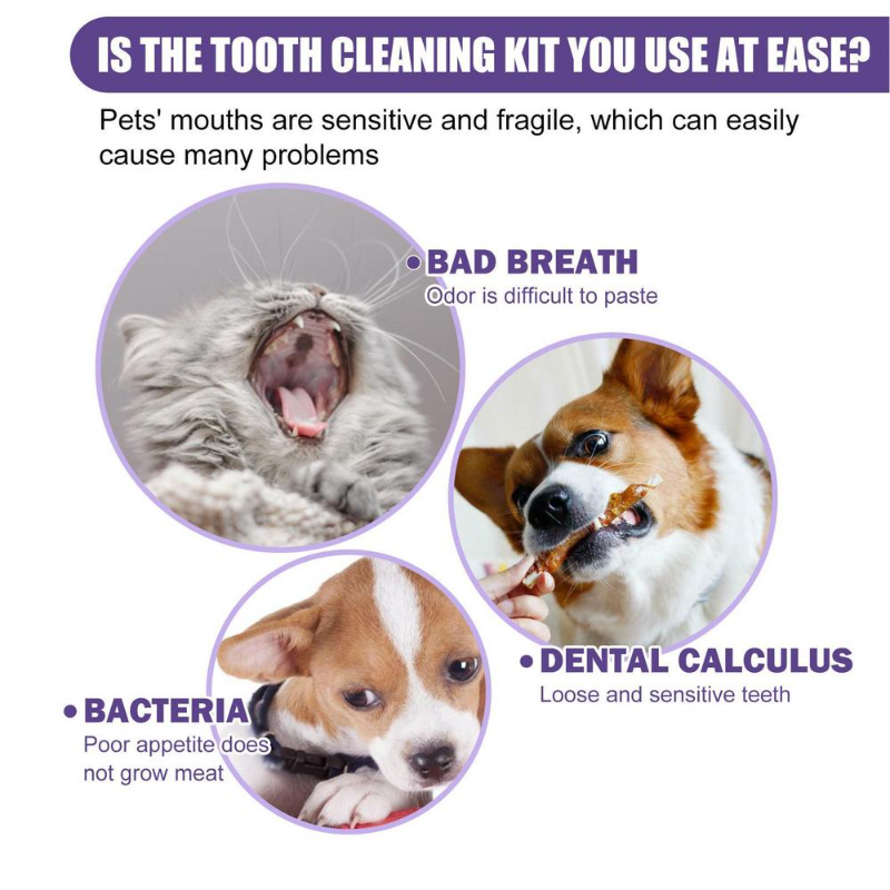 Brosse à dents en silicone souple pour animaux de compagnie, lingettes dentaires pour chien, livres de brosse, mauvaise haleine, livres oraux pour chat, trucs, soins dentaires