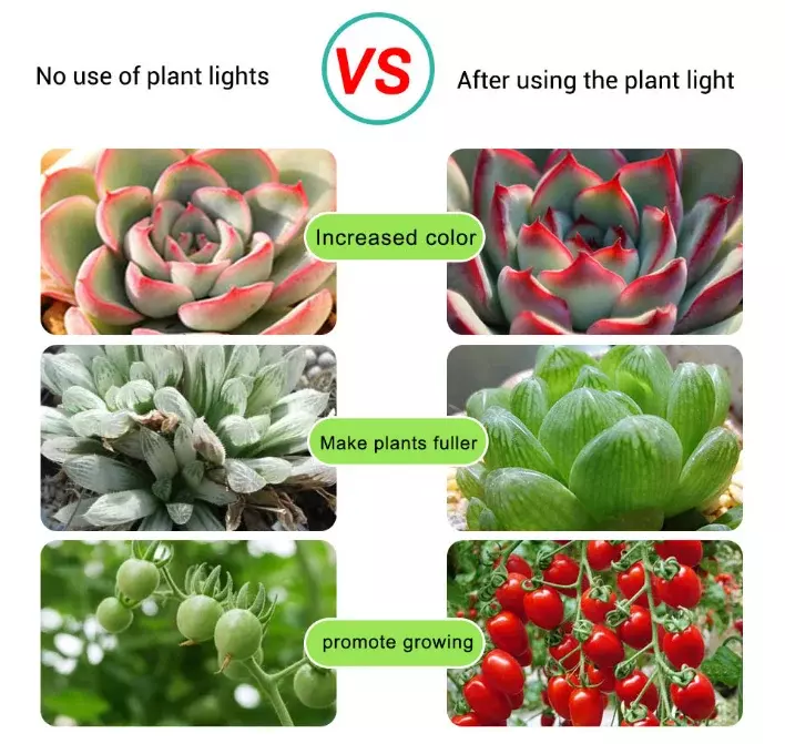 Lampe horticole de croissance LED USB, 0.5m/1m/2m, 2835, puce phyto pour serre/chambre de culture hydroponique, plantes et fleurs