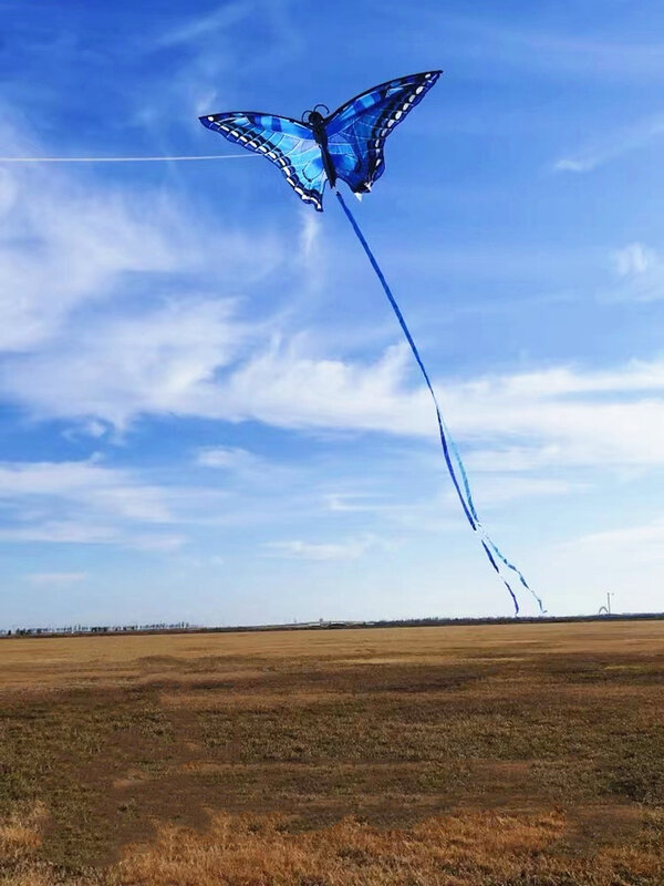 送料無料蝶凧のおもちゃ子供凧ラインナイロン凧工場プロの風凧パラシュートウィンドサーフィン