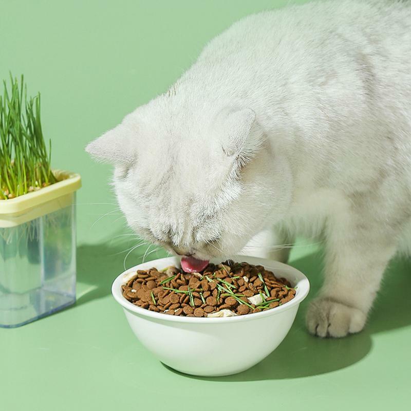 Nampan rumput kucing tanpa tanah Pot rumput kucing hidroponik Catnip rumput kucing kotak rumah tangga rumput kucing Pot pertumbuhan rumput gandum rumput kucing