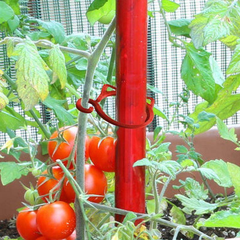 Clips de support de plante en treillis en forme de chat, pinces de tomate, boucle de levier de plante et de fleur de jardinage, pinces de pince, pinces de jardin pour grandir