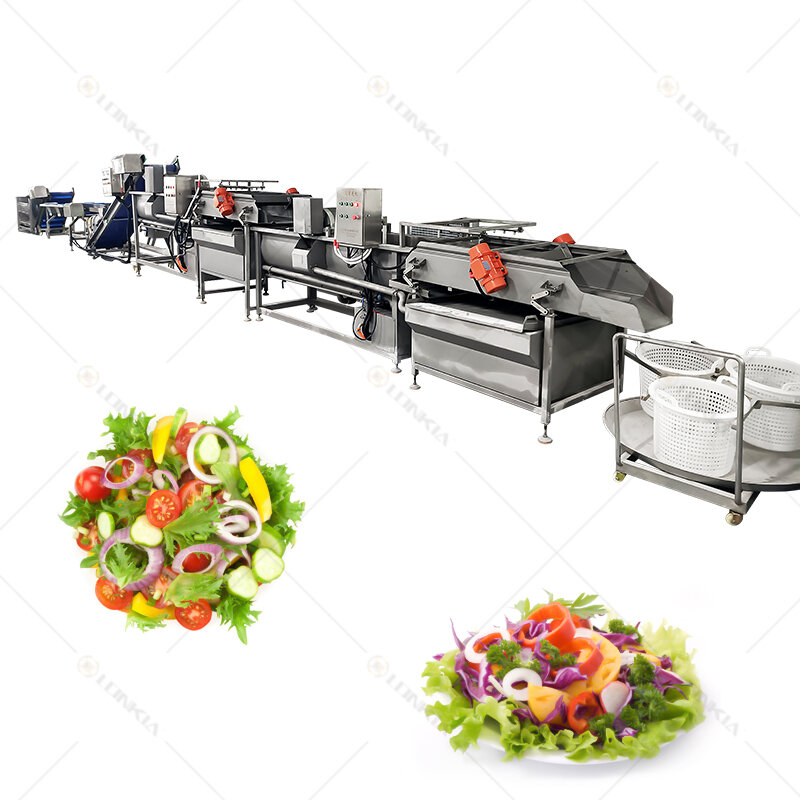 Lavadora de Saladas Lavadora Vegetal, Processamento de Corte Industrial e Vegetal e Linha de Embalagem, Alta Eficiência