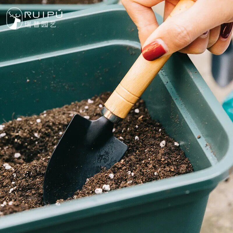 Mini ensemble d'outils de jardin pour plantes de jardin, pot de fleur, outils de jardin, creusement, désherbage, intérieur, 3 pièces, ensemble