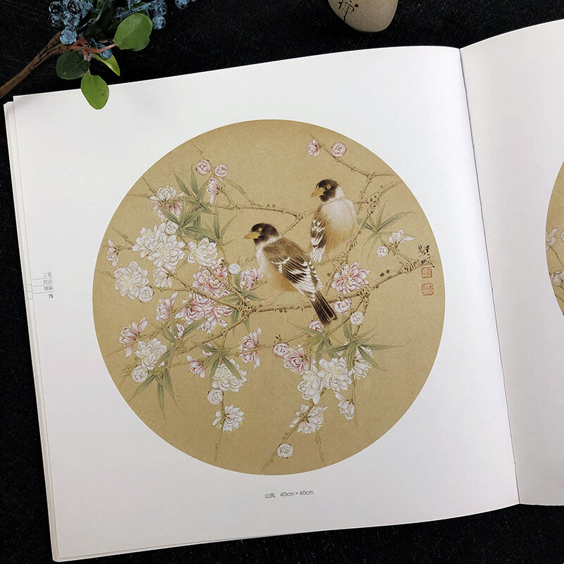 Pintura meticulosa técnica tutorial linha desenho flor pássaro inseto manuscrito iniciante chinês pintura começando livro