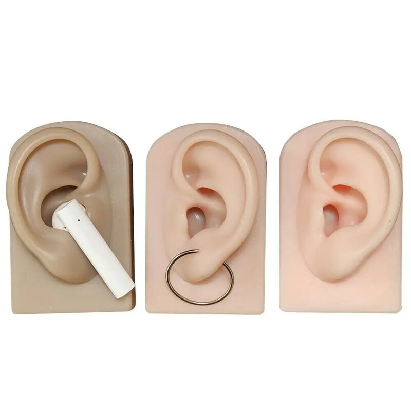 Falso Silicone Ear Modelo, Brincos Humanos Display, Piercing Training Props, Ear Props, Simulação, Novo