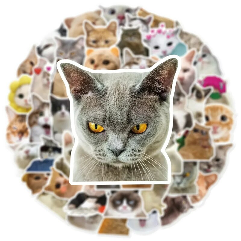 10/30/50 buah stiker grafiti kucing kartun lucu modis dekorasi helm gitar DIY bagasi Laptop ponsel lemari grosir