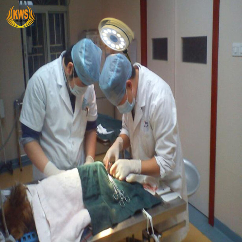 การทำงาน Light ผ่าตัดโคมไฟเครื่องมือทันตแพทย์โรงพยาบาลสัตว์เลี้ยงจักษุวิทยาเงาผ่าตัดโคมไฟ