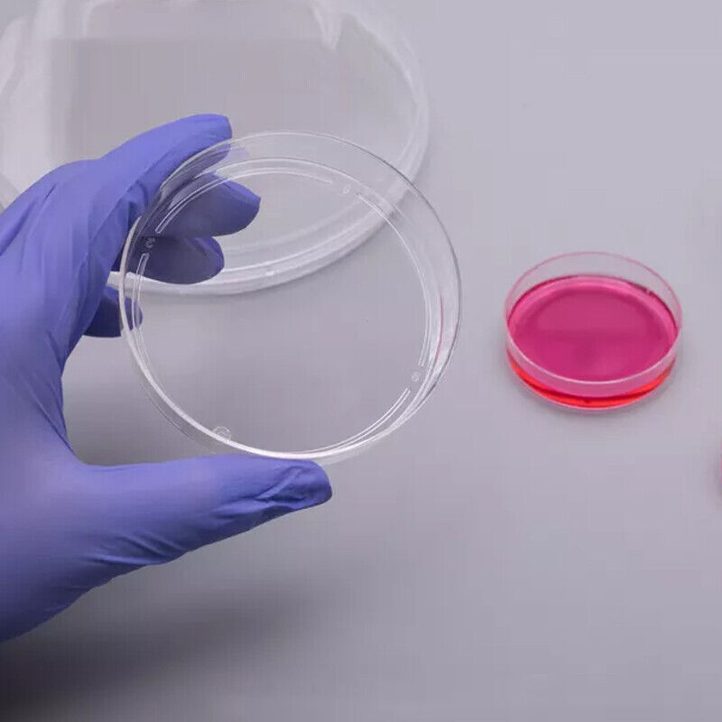 50 Stück sterile Petrischalen aus Kunststoff Bakterien kultur schale mit Deckel 90x15mm für biologisches wissenschaft liches Schul material im Labor