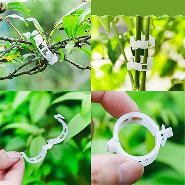 Gesicherter Pflanzen Kunststoff Clip Plastic Plant Clips Supports Connects Reusable Protection Grafting Fixing Tool Gardening Su