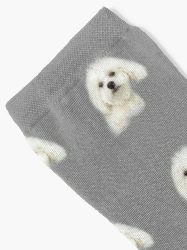 Maltese Puppy Sokken