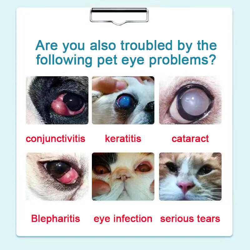 Gouttes oculaires en titane pour animaux de compagnie, traitement de la cataracte pour chien, kératite précoce, taches de déchirure, eau pour chat, 20ml