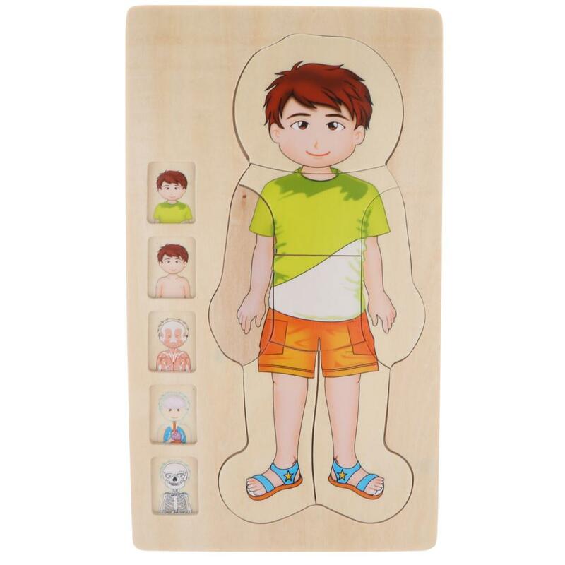 Деревянная головоломка для мальчиков, конструкция тела, головоломка для дошкольного детского сада, обучающая игрушка