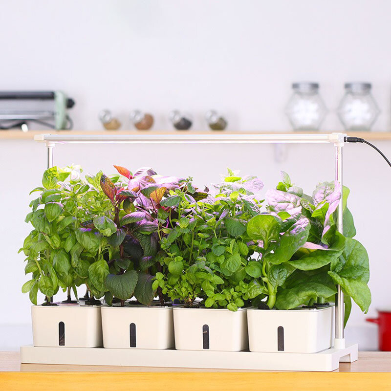 Hydroponics Growing System Smart Indoor Planter Aerobic System Gardening Greenhouses Vertical Hydroponic Installation Flowerpot