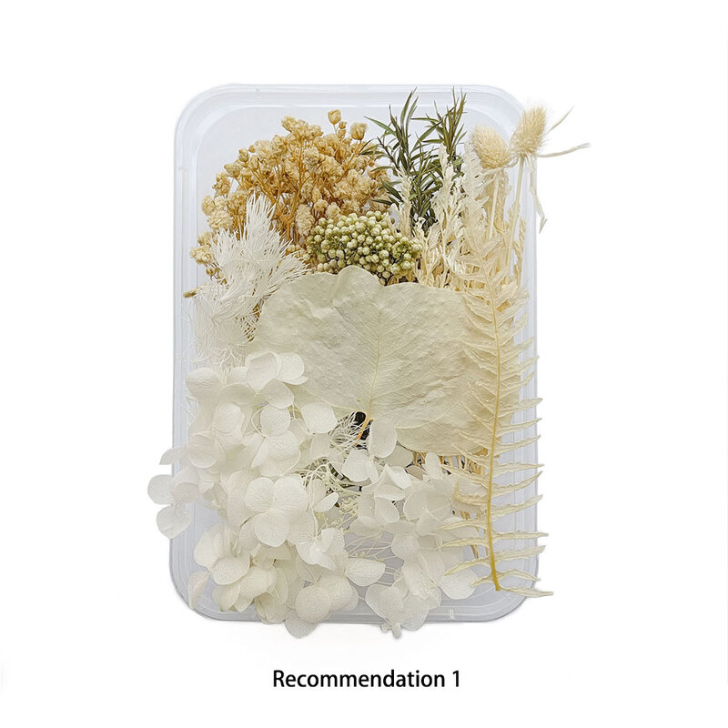 Dried Flower Plants Dry Making for Mobile Phone Case Candle Pendant Jewelry