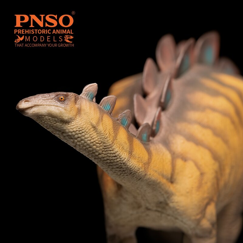 Pnso Prehistorische Dinosaurusmodellen: 82 Xilin De Wuerhosaurus