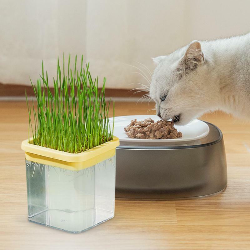 Kotak tumbuh rumput kucing hidroponik Pot rumput kucing tanpa tanah kotak rumput kucing Catnip hidroponik kotak rumput kucing rumah tangga kotak rumput gandum