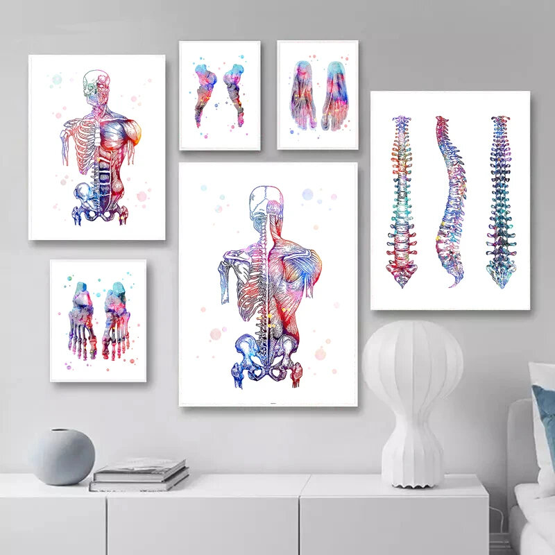 Poster anatomi manusia lukisan dekoratif tulang kerangka seni dinding kanvas dekorasi ruangan klinik kantor medis foto fisioterapi