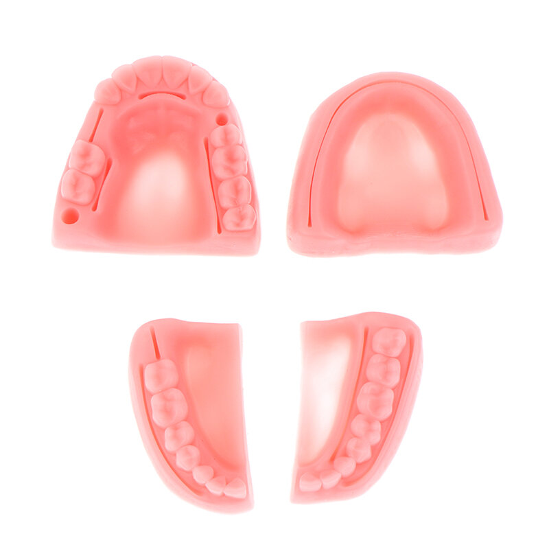 Modèle de Suture Dentaire Orale/Gomme en Silicone, Technologie de Formation pour Parodontite, 2/4 Pièces/Ensemble