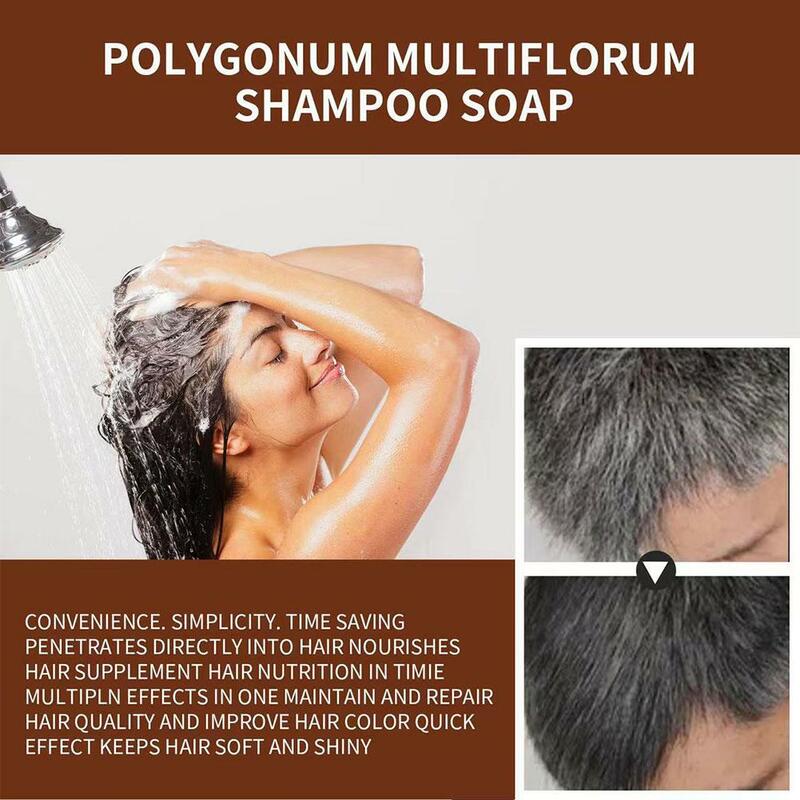 Polygonum-champú Multiflorum para el cabello, aceite líquido para el cabello, cuidado negro, Control de champú, Z4h8