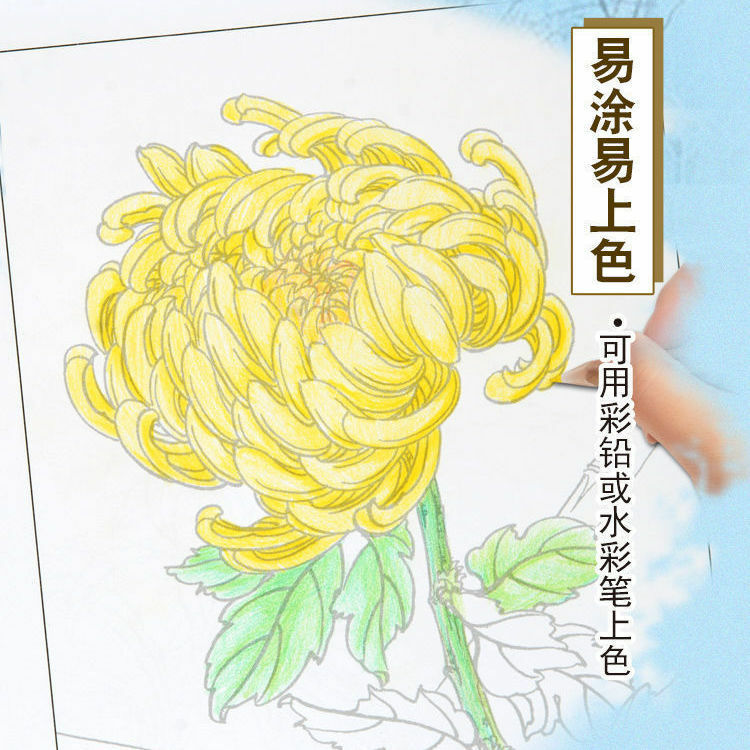 색칠 복사 그림책 교재 풍경 꽃 그림 아이들의 실습 능력 책