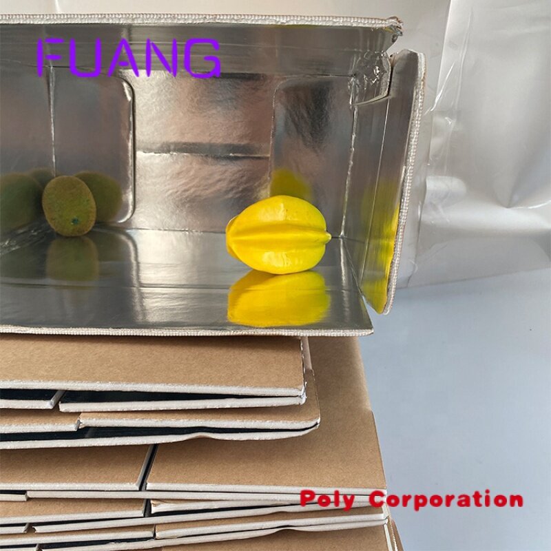 맞춤형 로고 고품질 알루미늄 호일 절연 카톤, 소기업 우편물 포장 상자