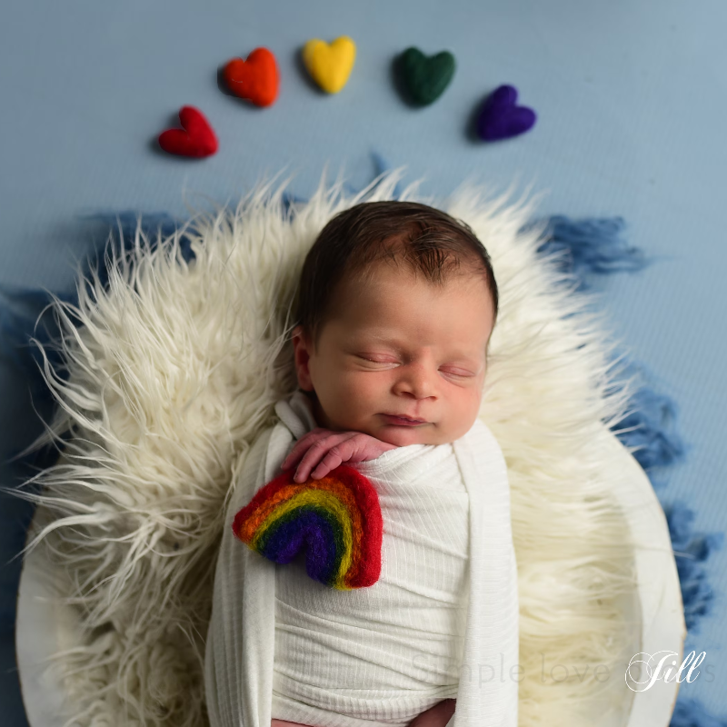 Newborn Photography Props DIY Handmade Needle Felted Rainbow Baby Wool Felt Love Heart PhotoShoot Studio Props Accessories