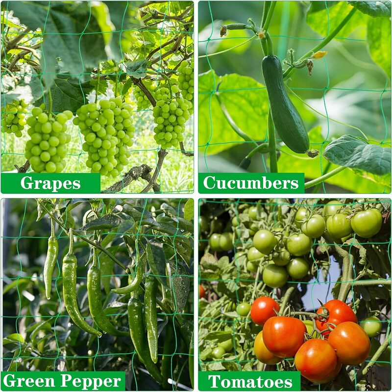 Filet robuste pour jardin, treillis pour plantes, escalade de vigne, pour concombre, tomate, support de culture de fruits