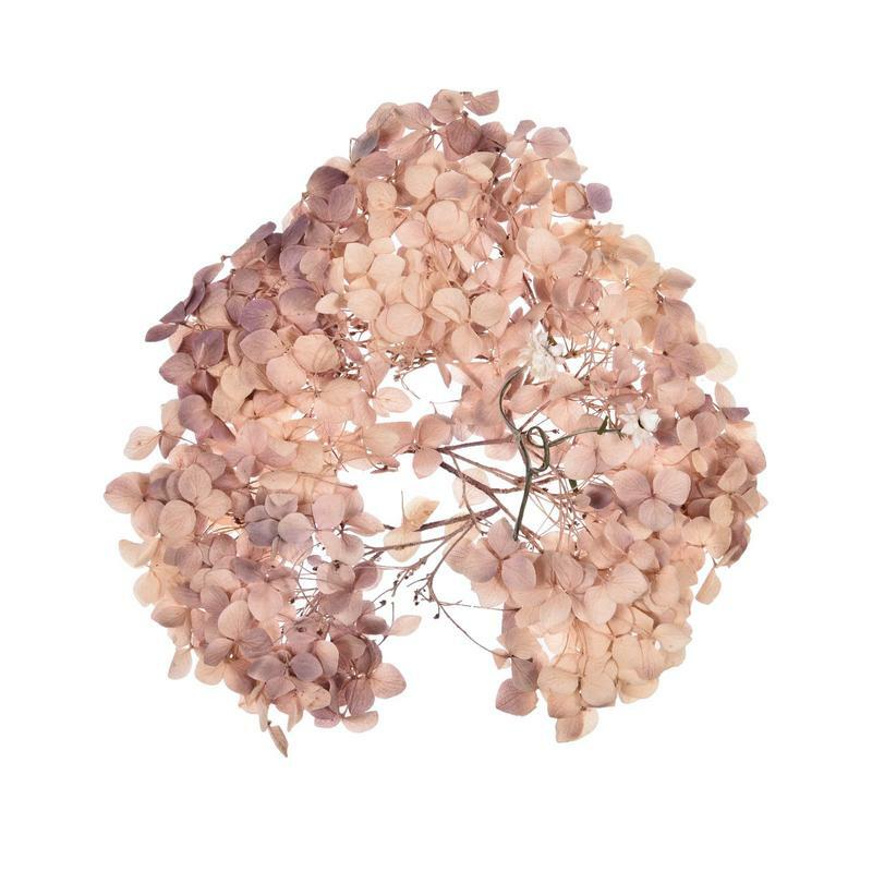 Tanaman Herbarium bunga pipih kering asli untuk kerajinan perhiasan membuat beberapa bunga Pres warna-warni untuk kerajinan Resin