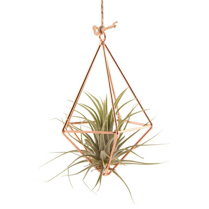 Minimalist Plant Stand Geometric Glass Terrarium Propagation Station with Iron Stand for Home Office Decor Plant Lover