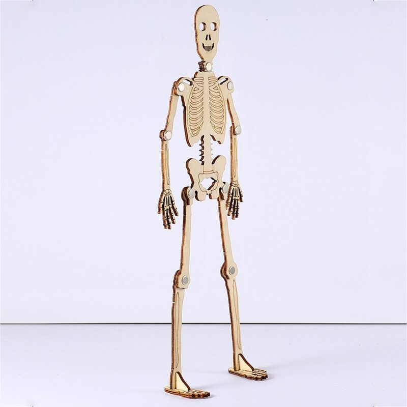 Diy modelo esqueleto humano anatomia quebra-cabeça a brinquedo desenvolvimento estrutura reconhecimento ensino