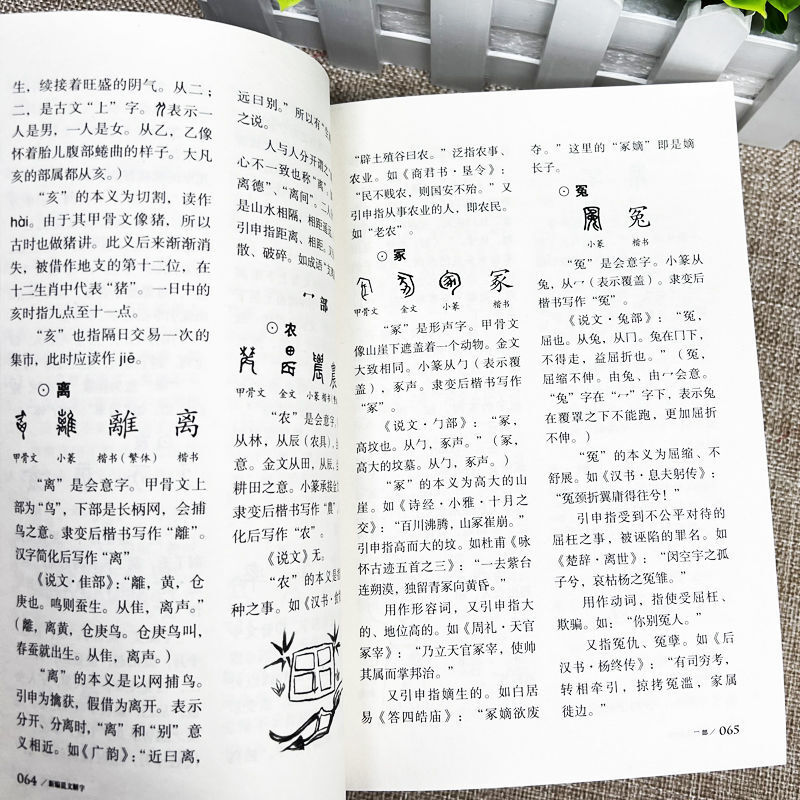 Книга для справок по изучению языка и китайских иероглифов Shuowen Jiezi, недавно составленная