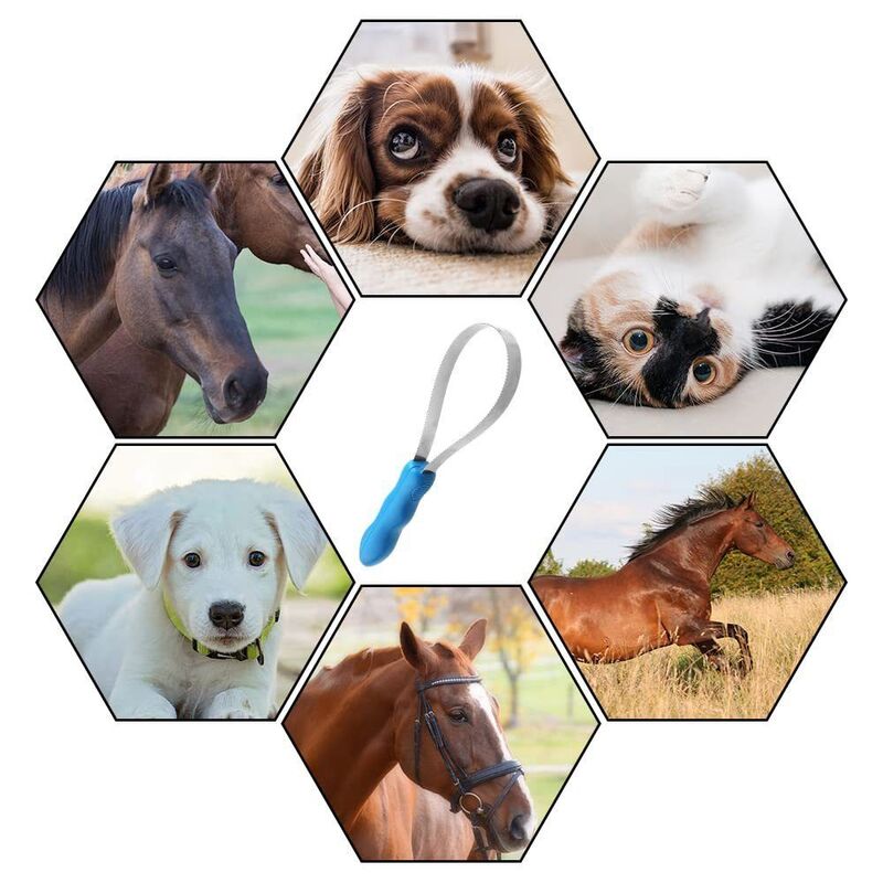 Cepillo antideslizante para el cuidado del perro, peine antipicazón para desenredar mascotas, accesorios para caballos
