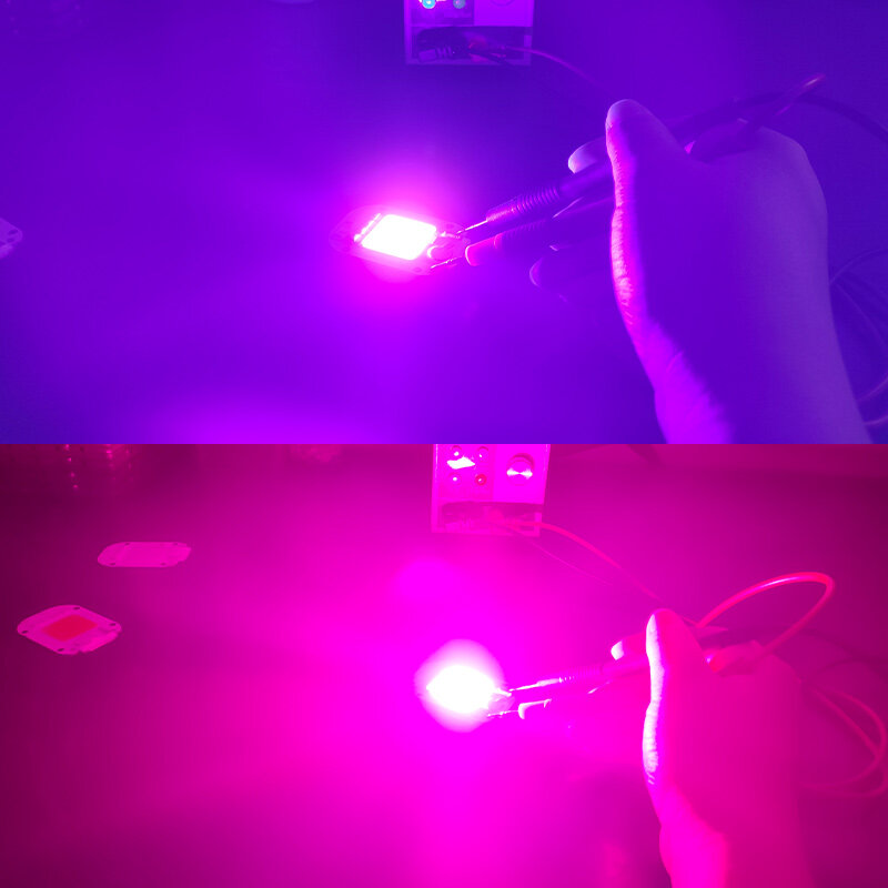 Chip LED UV de 50W, Chip de lámpara de cuentas ultravioleta, 20W, 30W, 395nm, color púrpura, para curado de luz de paisaje, iluminación de calle, DIY