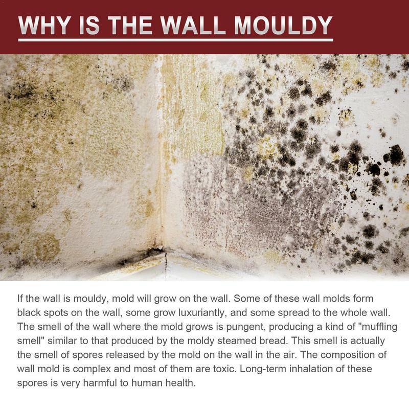 60ml semprotan jamur silikon jahitan dinding plafon Lembut Busa Pembersih jamur penghilang aksesoris pembersih rumah tangga
