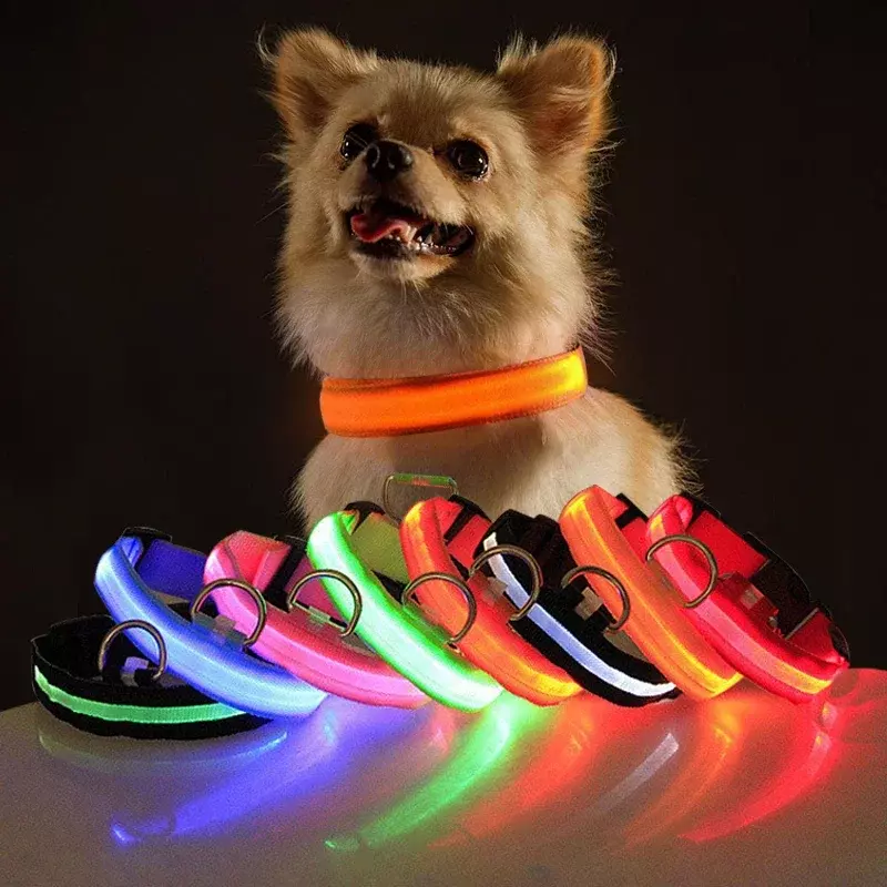 Carregamento USB LED Dog Collar, Safety Night Light, colar piscando, colares fluorescentes, Pet fornecimentos